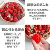 ENN LLC Strawberry Model Food Sample Fruit Models, 50 Pieces, 3.5cm