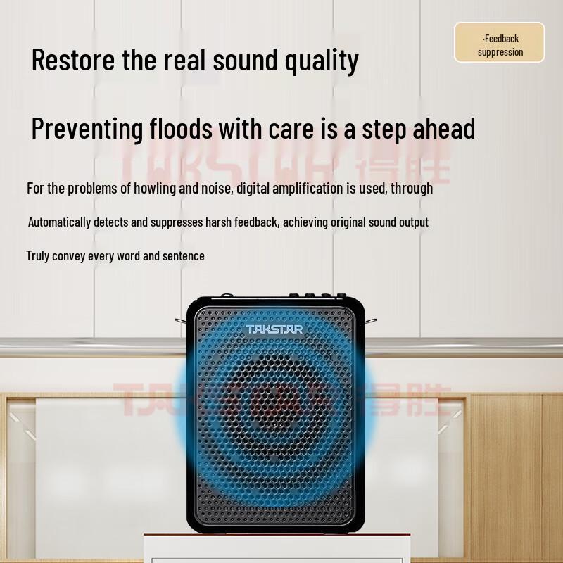 TAKSTAR E300W Wireless Voice Amplifier with FM Radio