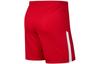 Nike Casual Shorts Men's Red Moderate BV6852-657