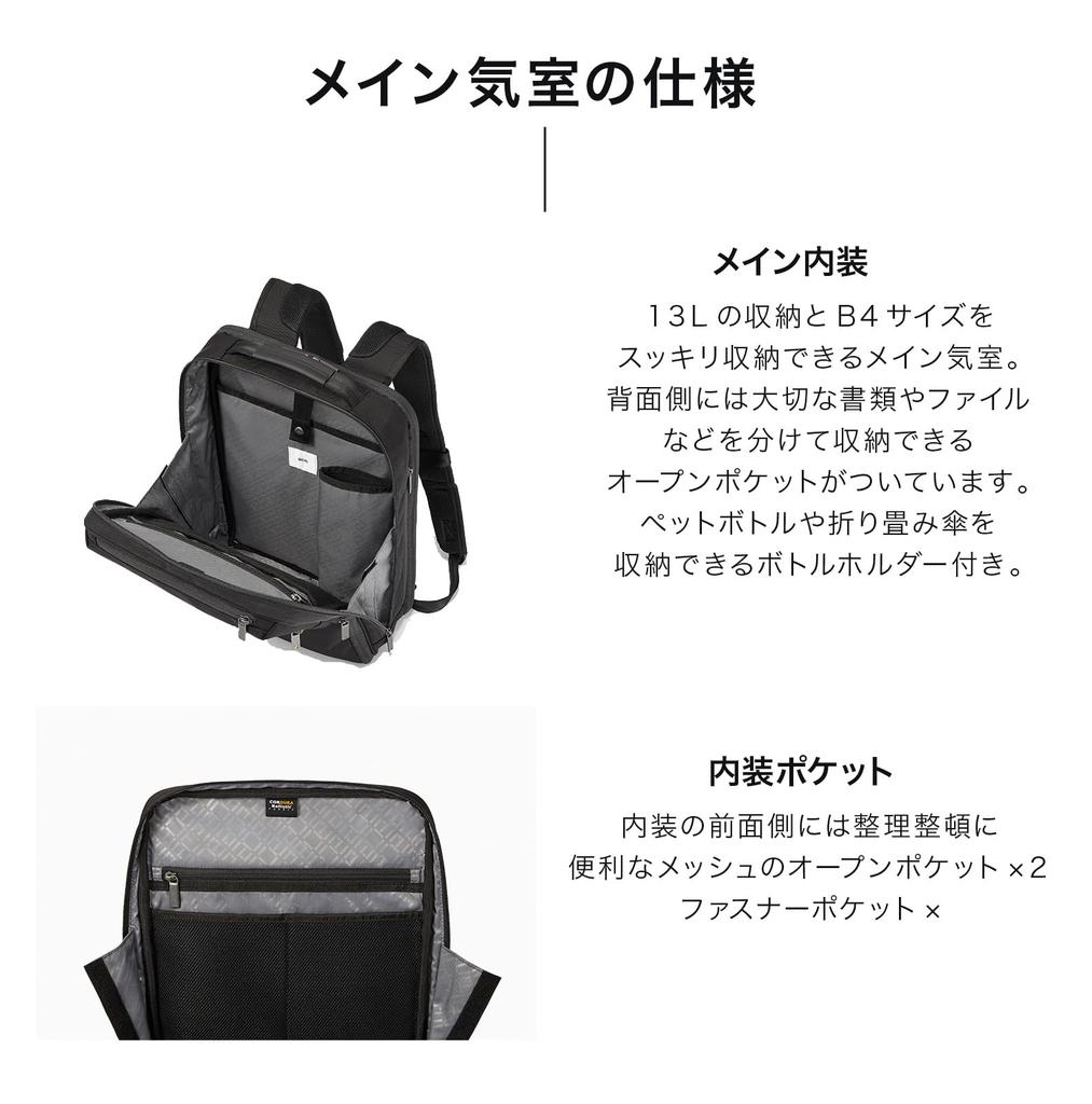 Ace Gene Gadgetable CB 62362 Business Fits Black Backpack, 15-inch PCs,