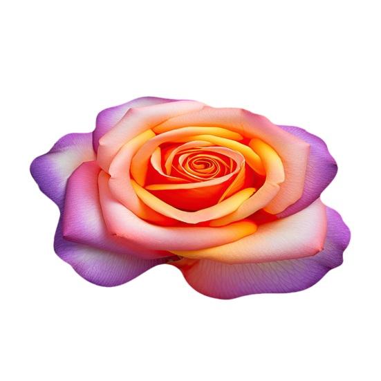 3D Flower Floor Mat Realistic Rose Lotus Area Rug Anti-Slip Decorative Flower Bathroom Rug for Living Room Bedroom Kitchen
