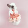 Yousheng Rabbit Clothes with Leash Rope Prevent Break Free Fashion Bunny Guinea Pig Costume Outdoor Harness Pet Supplies