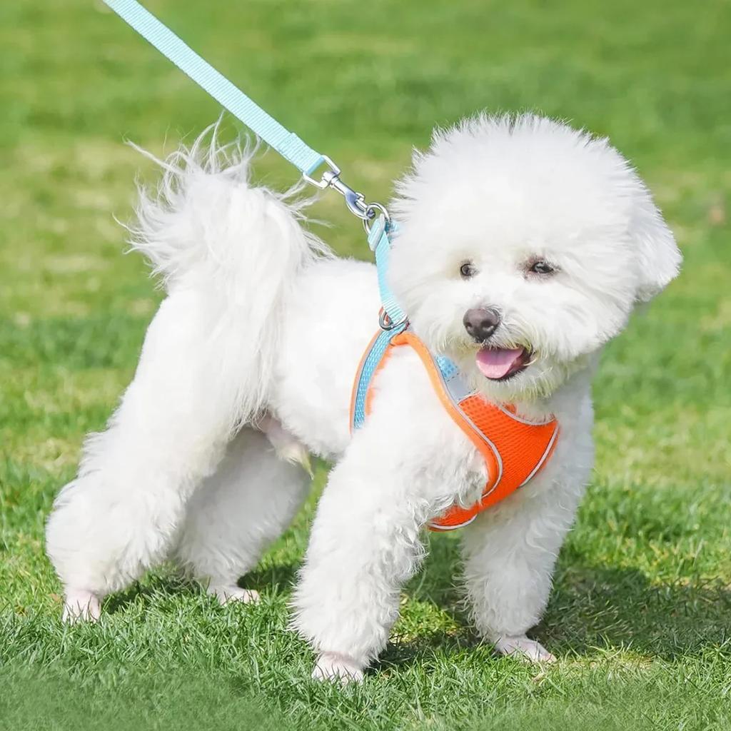 Haustier Katze Geschirr Leine Set Reflektierend Verstellbar Welpen Westengeschirr Katzen Kleine Mittelgroße Hunde Outdoor Spaziergang Katzenzubehör