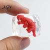 Ice Cube Squeeze Toy 15Pcs Dinosaur Anxiety Relieving Clear Sensory Elastic Stress Ball Soft Stretchy Transparent Focus Aid Relaxation Tools
