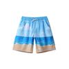 Summer Casual Shorts, Straight-leg Shorts, Breathable and Quick-drying Beach Pants