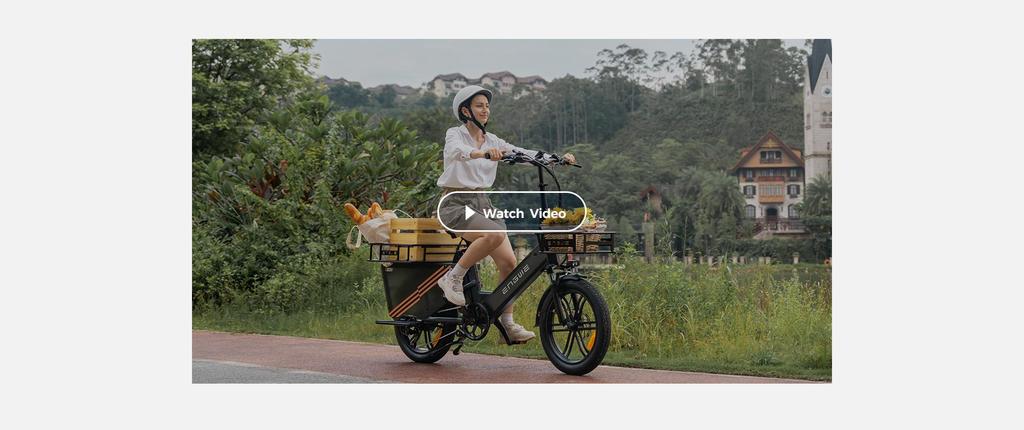 ENGWE LE20 Dual Battery Electric Bike – 350KM Max Range, 100Nm Mid-Drive Motor, Hydraulic Brakes & 200kg Payload