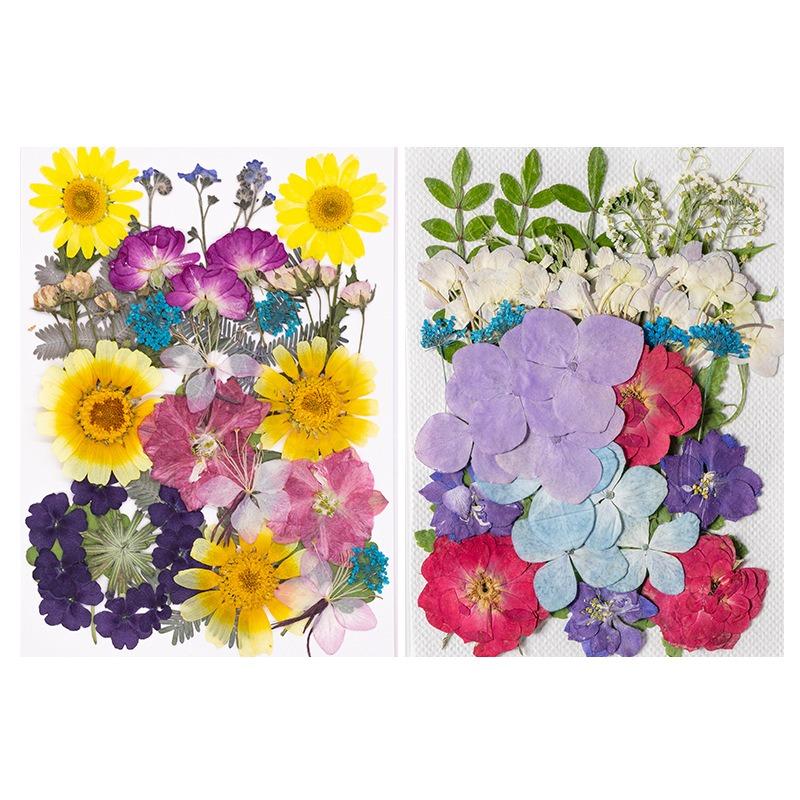 Natural Dried Flowers Pack For Diy Resin Pressed Flower Art
