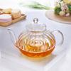 GLASS JUG TEA INFuser with Filter 1.2L for Water, Coffee, Hot
