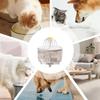 Transparent Automatic Cat Water Fountain Electric Pet Drinking Fountain  Pets Home Alone