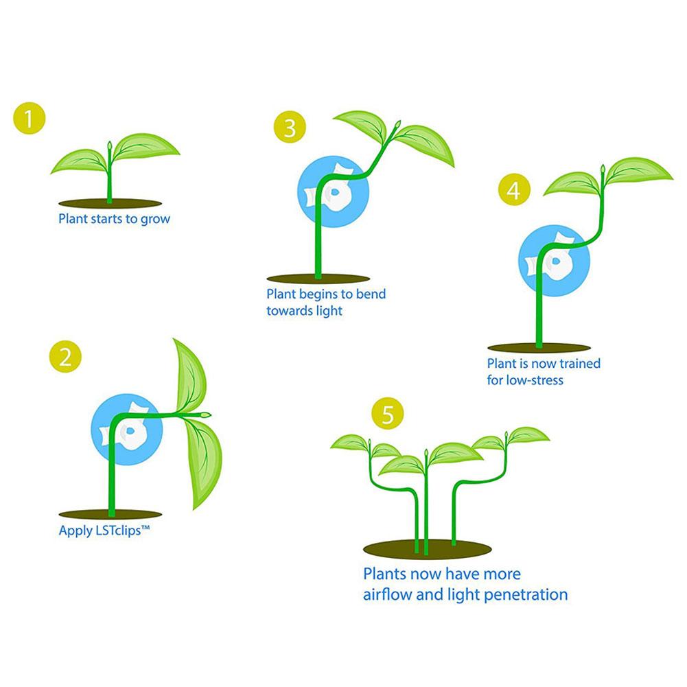 Multi-angle Plant Bender Adjustable Clips Reusable Plant Stem Trainer Plant Growth Shaper for Indoor Potted Plants Garden Supplies