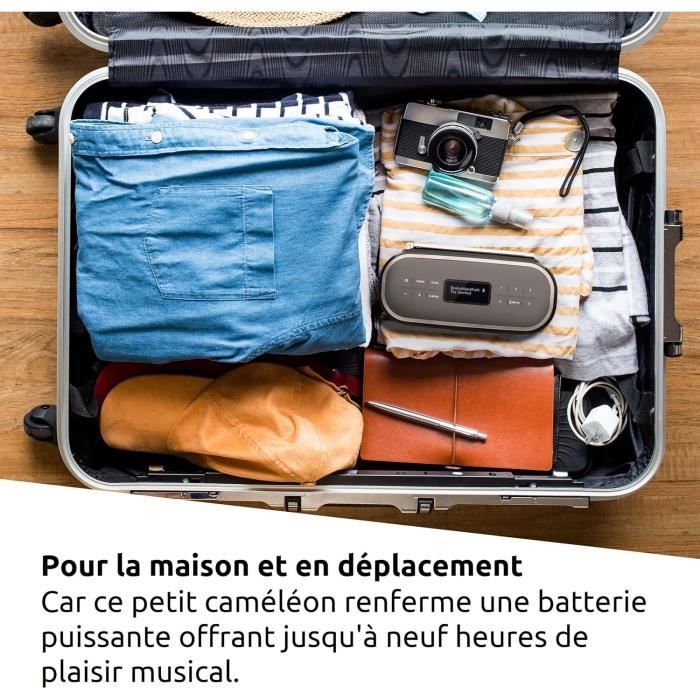 Enceinte bluetooth portable - technisat - viola bt 1 - dab fm - 6w - batterie rechargeable 9h