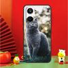 British Shorthair Cat For Realme 15 Pro GT7 GT6 10 11 12 13 14 Pro Plus C67 C63 C61 C55 C51 C53 C35 C75 C65 Case