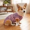 Breathable Dog Recovery Suit Elastic Dog Anti-Licking Jumpsuit Sanitary Panties Daily Wear