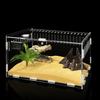 Insect Feeding Box Acrylic Clear Breeding Case for Spiders Reptiles Lizards Centipedes Small Snake 2 Size