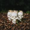 2026New 6 Pack Halloween Transparent Skull Plastic Jars with Lids for Candle Making, Candle Making Molds