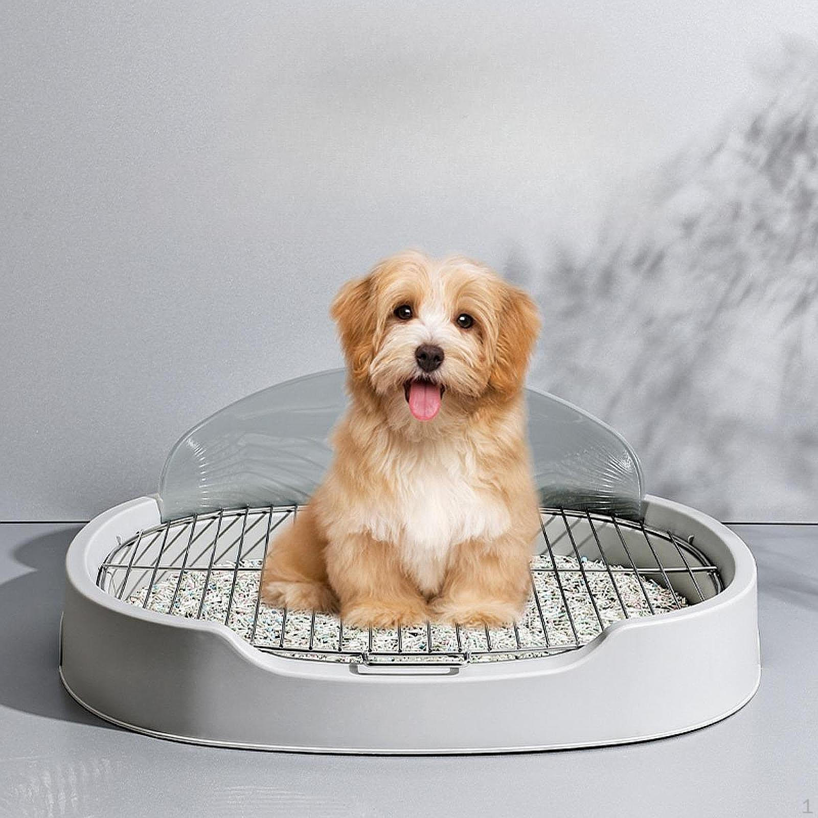 

Туалет Bouetteres внутри горшка, с анти-пледом для собак, ноутбук, портативный,