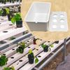 Plant Trays For Seedlings Adjustable Humidity Cover Propagator Gardening Tools Germination Tray For Parterre Hotel Apartment