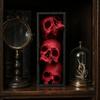 Horror Theme Decor Skulls Book Nook, Gothic Skull Bookshelf Insert, 3 Tier Stacked Sculpture Mysterious Library with Black Frame, Academia Spooky for