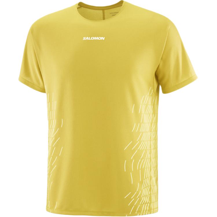 SALOMON T Shirts Men s Water Celery Green/Gray White Men s C27002 Crew Neck Moderate Straight Fit C27002 180/100A