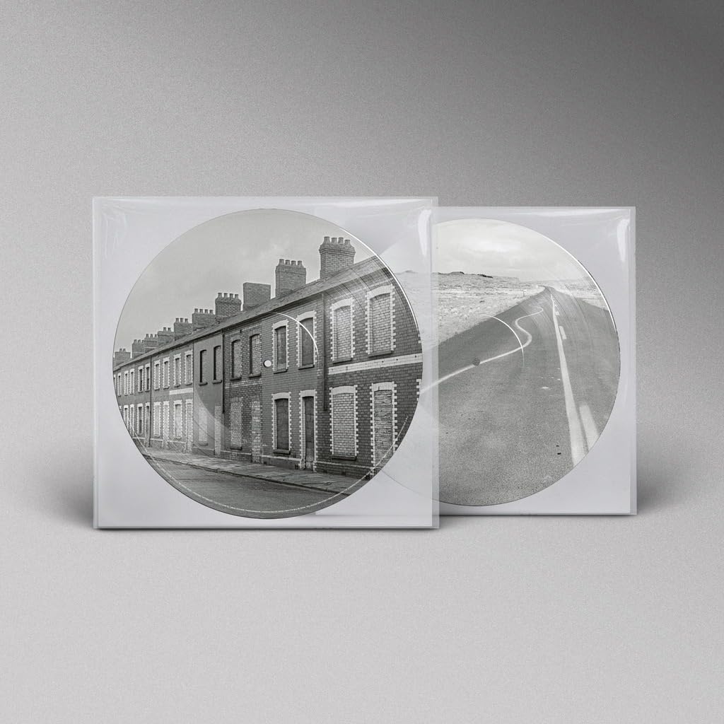 

Critical Thinking (Picture Vinyl) [Analog]