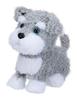 Iwaya One Training Together 1, 2, 3! Miniature Schnauzer