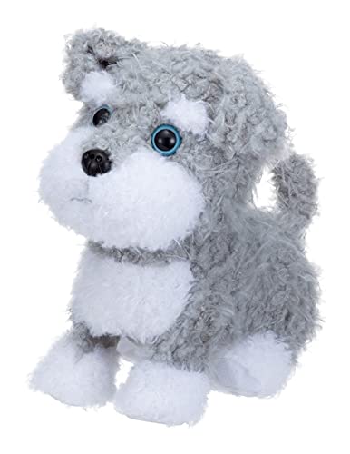 

Ивая Один Тренируемся Вместе 1, 2, 3! Миниатюрный шнауцер