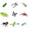 Insect Model Water Bug Toy With Plastic Material For Childrens Educational Play