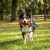 Durable Dog Bite Toy Genuine Leather Tug Toy Dog Exercise Dog Training Stick  Teeth Grinding