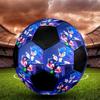 Sonic Rainbow Soccer Ball Colorful All Ages Machine Stitched PVC Competition Ready Durable High-Bounce.SIZE5