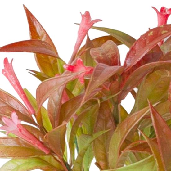 Artificial Plant Realistic with Stems Non-withering No Watering 4 Branches Home Decoration