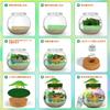 Dinosaur Terrarium Miniature Dinosaur Craft Independent Research Handmade Making Experiment Elementary School Popular Christmas Gift Kit, Kit, Kit,