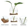 2pcs Hydroponics Glass Vase with Wooden Tray Bud Vases Plant Propagation Station Flower Vase for Bedroom Home Table Decoration