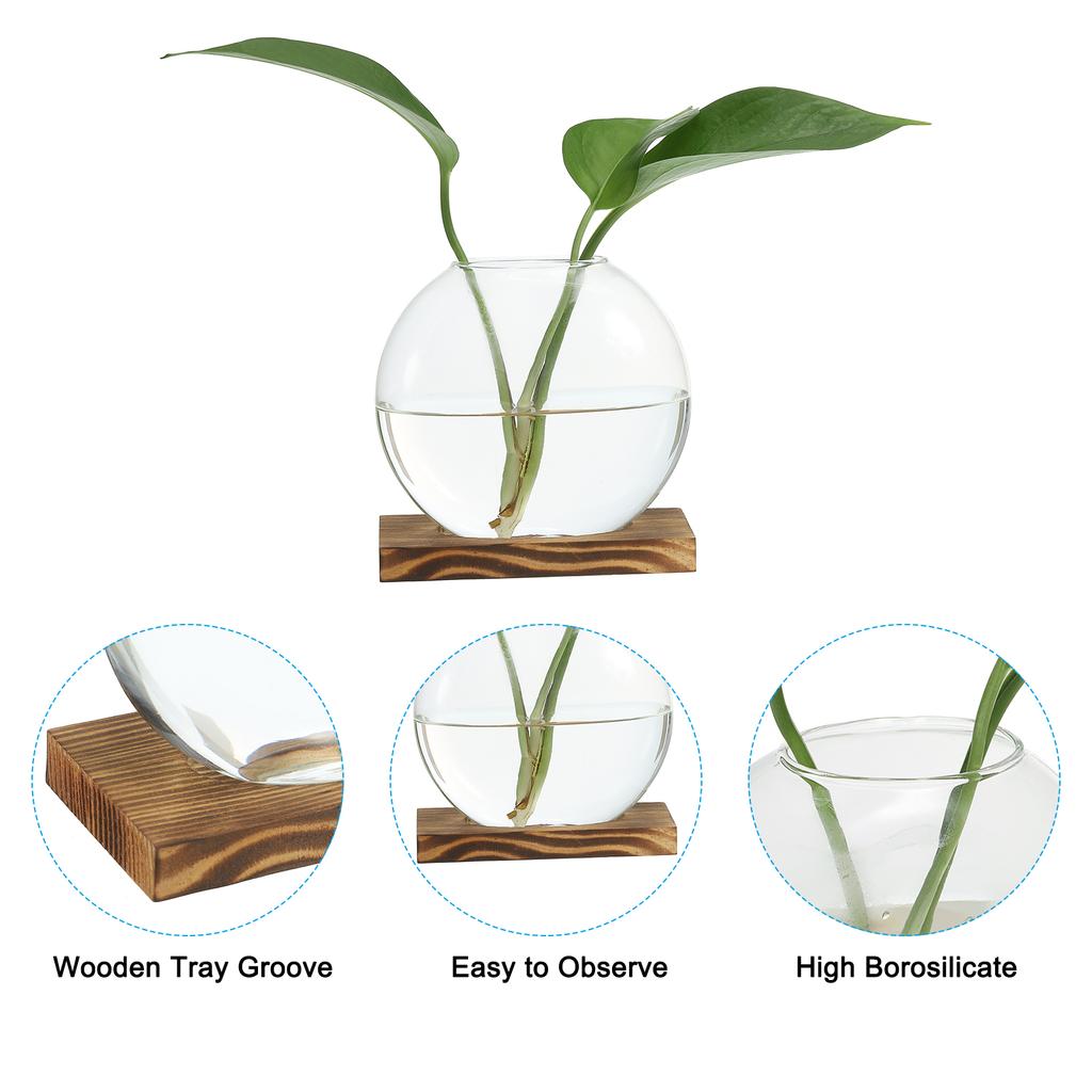 2pcs Hydroponics Glass Vase with Wooden Tray Bud Vases Plant Propagation Station Flower Vase for Bedroom Home Table Decoration