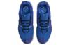Nike Darmowe Terra Vista Next Nature Next Nature Team Royal - DM0861-400