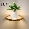 Sleek Iron Storage for Office Floating Wall Shelf with LED Light, Modern Gold Metal Display Rack Accent Entryway Plants Book, Space Saving Mounted