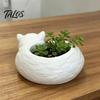 Talos 3D Printed Sleeping Cat Flowerpot, Mini Desktop Planter, Decorative Plant Holder for Succulents Small Green Plants