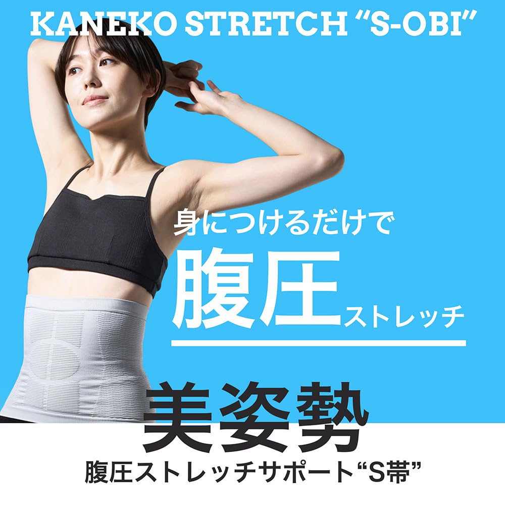 Dinos Shapewear [Developed and Supervised by Tadashi Kaneko] S-belt eX AR2626 (S-M, Black)