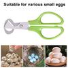 Quail Egg Scissors with Non-Slip Handle Egg Shell Cutter Stainless Steel Blade Egg Cutter Shears Easy Clean Kitchen Tool for Precise