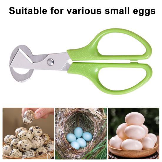 Quail Egg Scissors with Non-Slip Handle Egg Shell Cutter Stainless Steel Blade Egg Cutter Shears Easy Clean Kitchen Tool for Precise