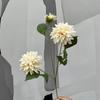 Long Branch Artificial Dahlia Flower 72cm Faux Flower New Hydrangea Flower  Home Interior
