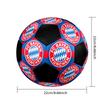 FC Bayern Munich Indoor Soccer Ball Colorful Machine Stitched PVC Size 5 Team Training Competition Ready Durable High-Bounce Cool Sports Gift