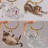 Transparent Acrylic Keychain Cat Hair Storage Box Handmade Cat Hair Storage Container  Pet Necklace