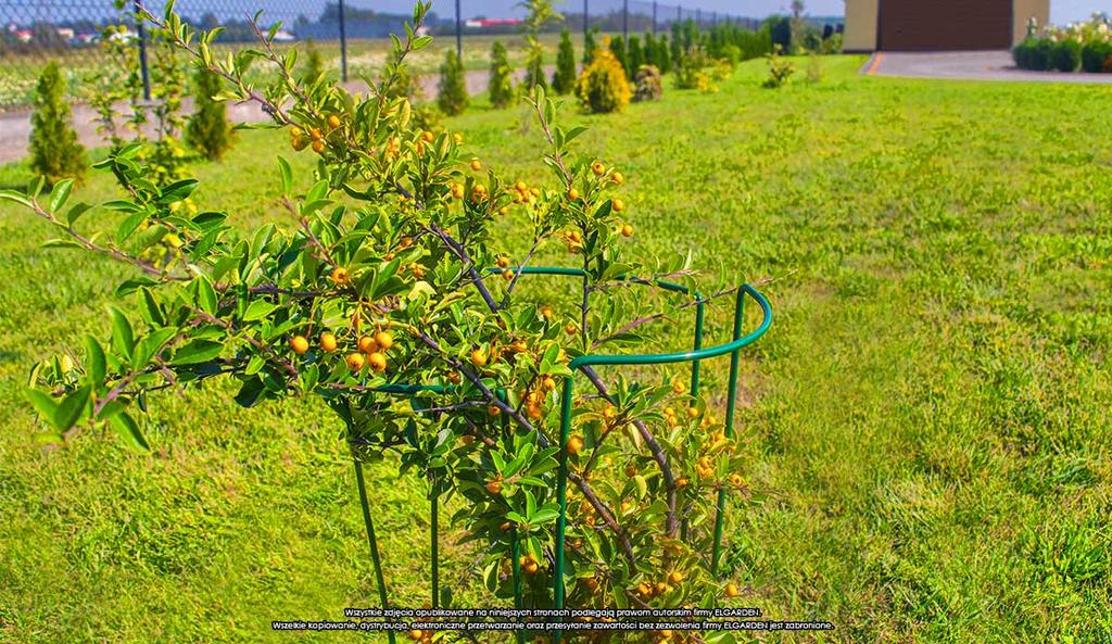 Podpora Kwiatowa S ''45X15''[2028], Elgarden