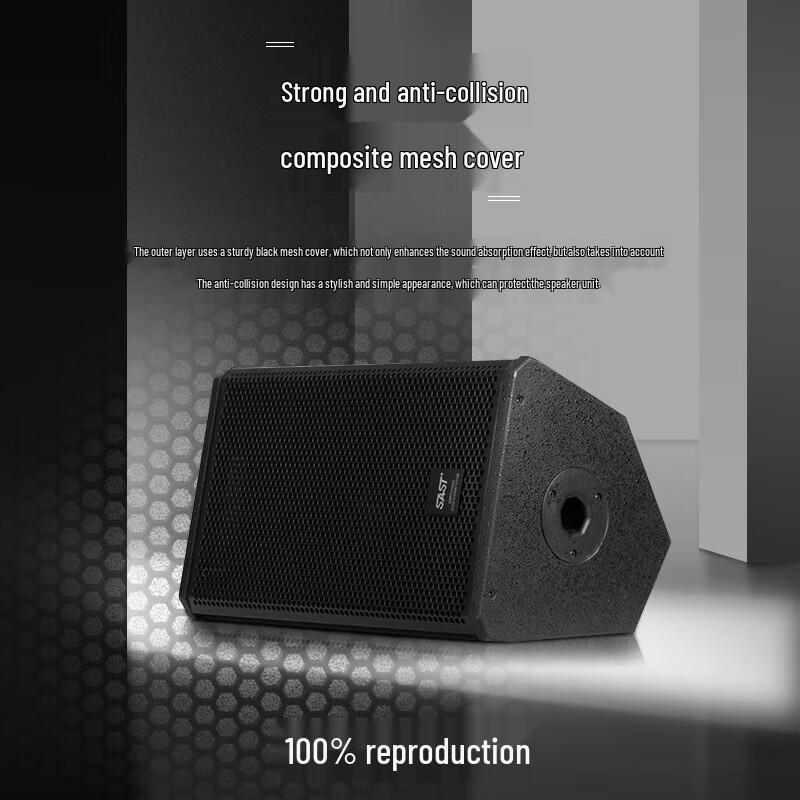 SAST KP10V 10-inch Professional Passive Stage Speaker Pair