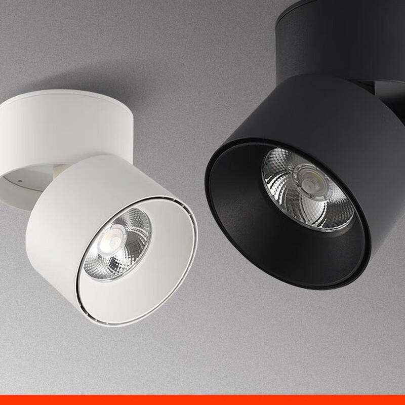 Nufeng 30W Folding LED Spotlight, Black