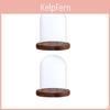 Tabletop Clear 35x47 Display 2pcs Case With Base A