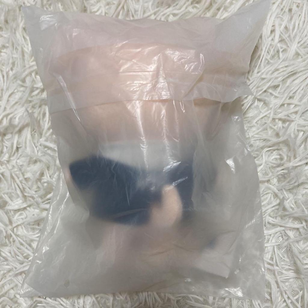 [USED] Straykids SKZOO Puppy Seungmin Plush Toy