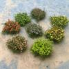 Miniature Vegetation Scene Model Simulation DIY Sand Table Grass Cluster  Landscape Decoration
