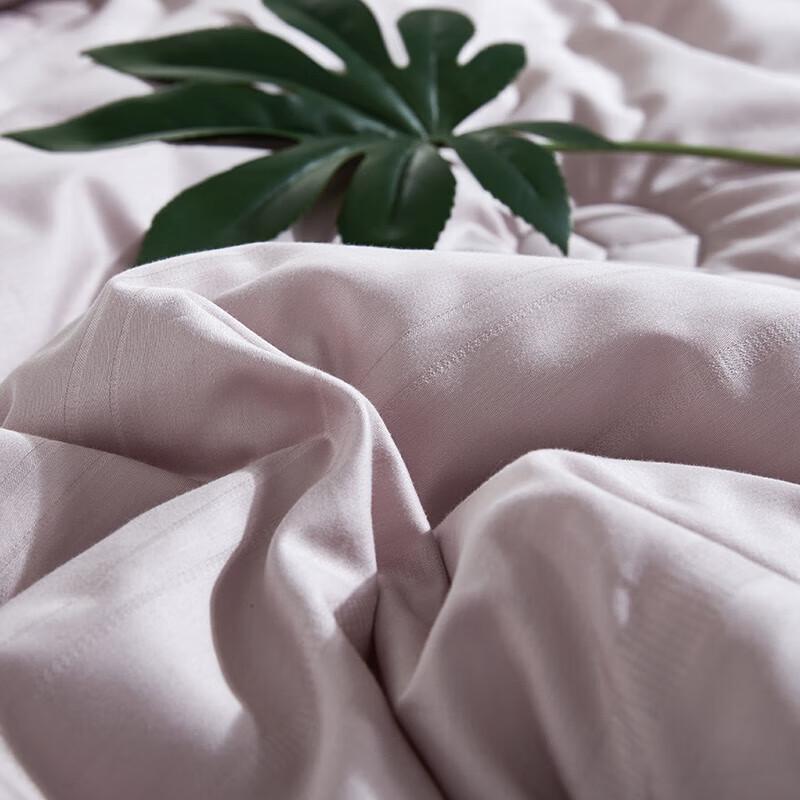 Tianqin Champs-Élysées Soft Warm Silk Blend Winter Duvet
