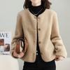 Faux Lamb Fur Coat Autumn Winter Fur And Leather One-Piece Overcoat Women's Short Style